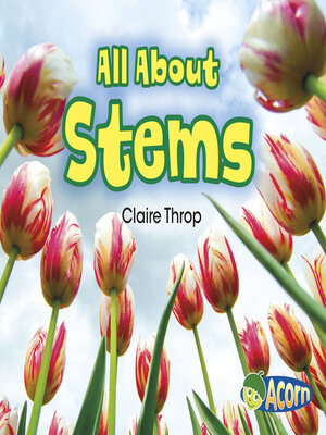 cover image of All About Stems